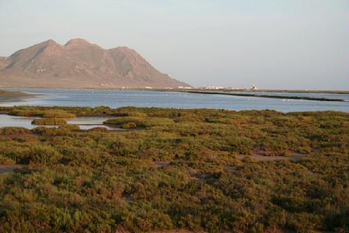 Las salinas
