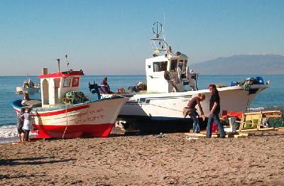 barcos