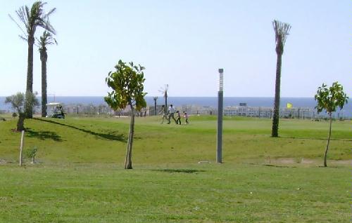el toyo